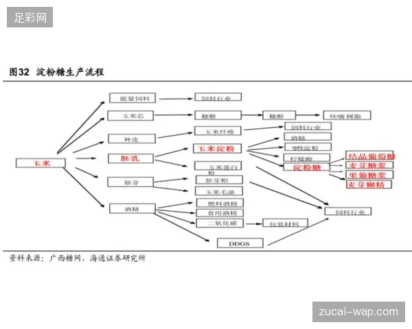SoFi体育场内部导播信号如何在接入指纹系统后消解版权归属矛盾